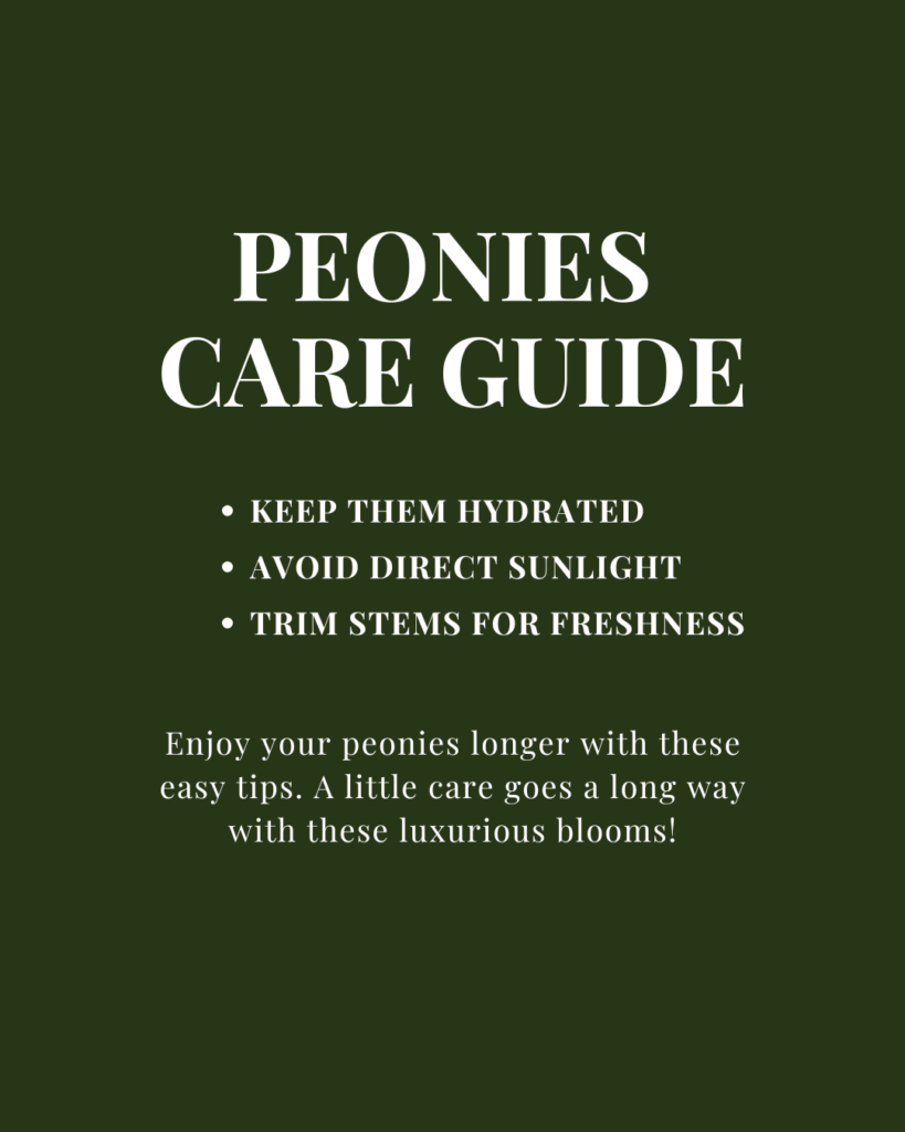 Peonies care guide