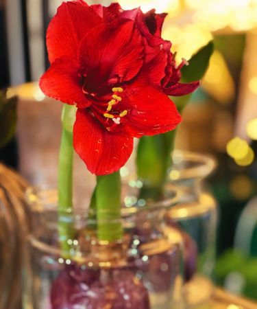 christmas handmade decorations & gifts