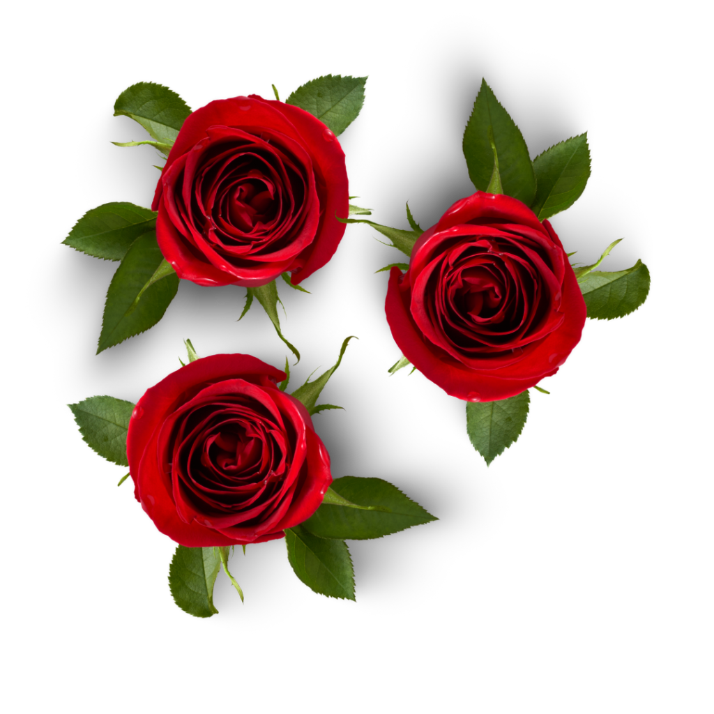 valentine's day