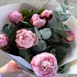 Peonies