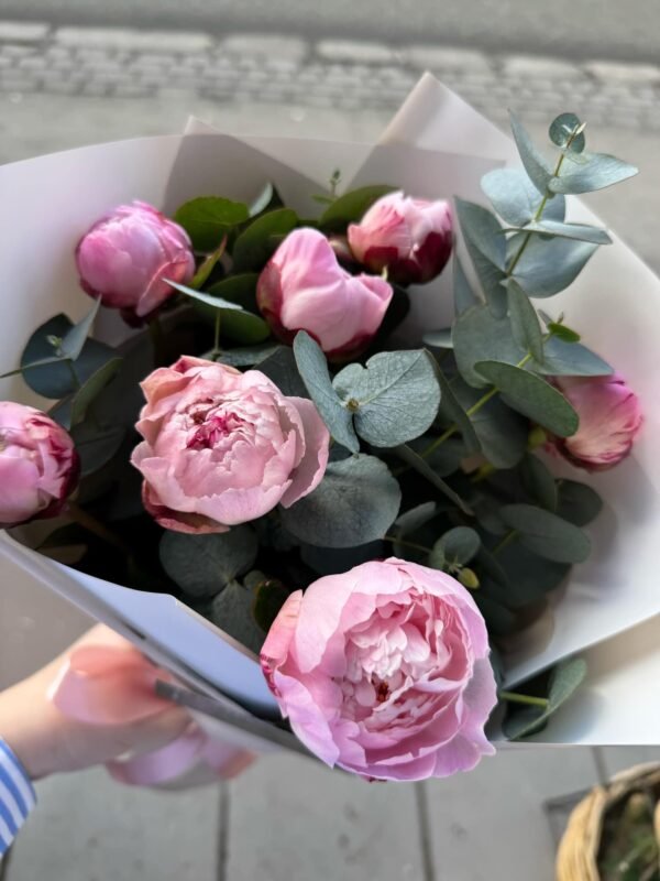 Peonies