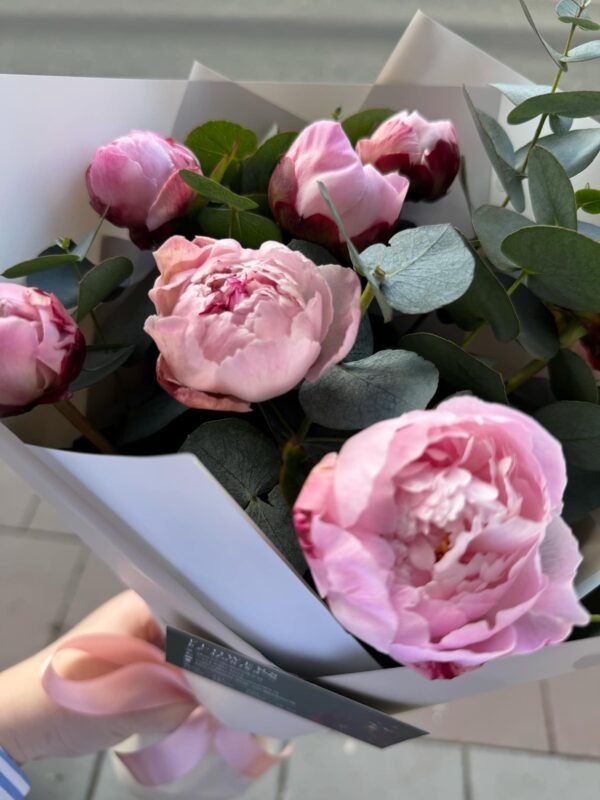 Peonies