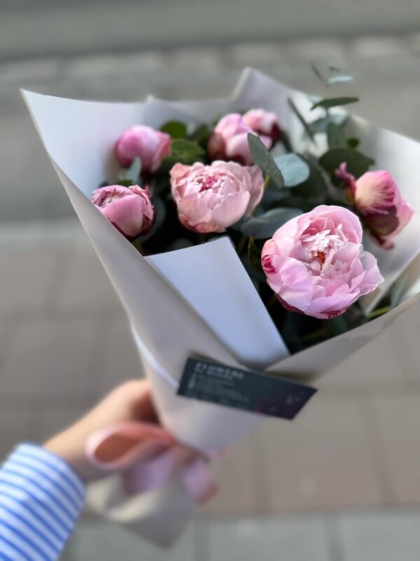 Peonies