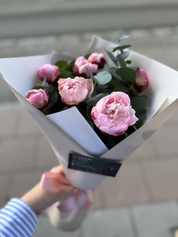 Peonies