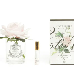 Cote Noire Perfumed Natural Touch Single Rose - Clear - French Pink