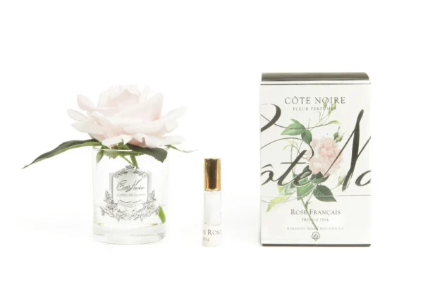 Cote Noire Perfumed Natural Touch Single Rose - Clear - French Pink