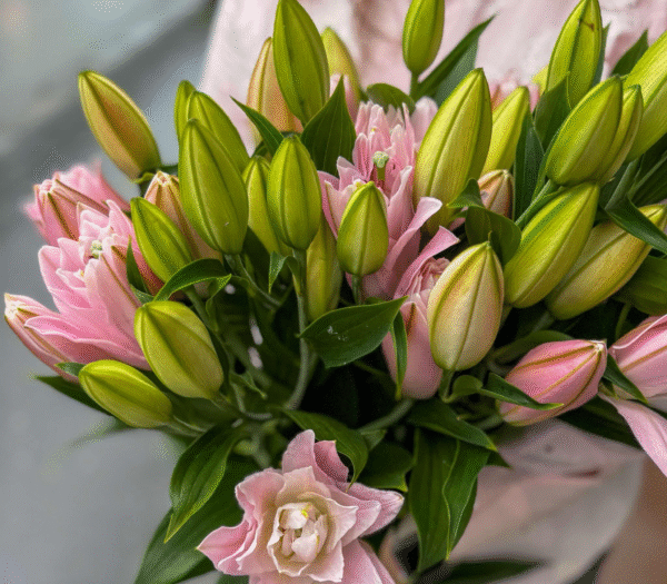 Oriental Lily (Full-bodied)