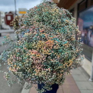 Rainbow Chrysanthemum (Sprayed Stem)