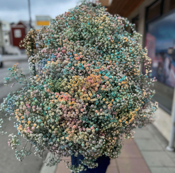 Rainbow Chrysanthemum (Sprayed Stem)
