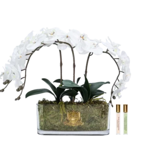 ORCHID BOUQUET - IVORY WHITE & GOLD BADGE