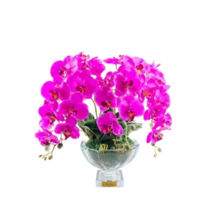 Centrepiecel Orchides - Fuchsia
