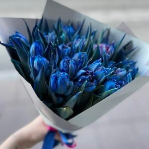 blue tulips by stems