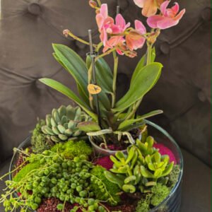 "Orchid Garden" Bowl