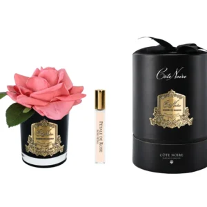 Cote Noire - Perfumed rose - PEACH